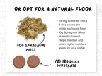 Natural-colored floor substrate insert option for jumping spider enclosures - Spood Society