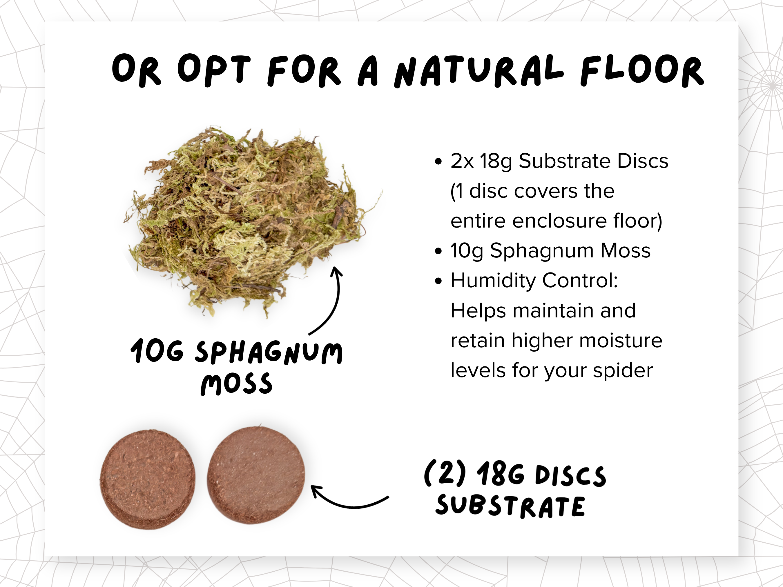 Natural-colored floor substrate insert option for jumping spider enclosures - Spood Society