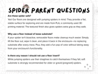 Jumping Spider Enclosure Floor Insert - Stars + Moon Pattern - Spood Society