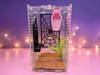 Pretty Little Crypt Jumping Spider Enclosure Set