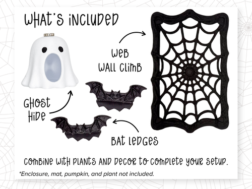 Haunted Jumping Spider Enclosure Accessory Set