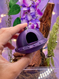 Jumping Spider Magnetic UFO Hide