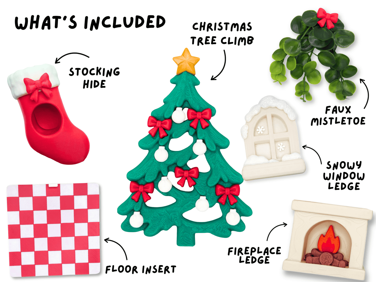 Cozy Christmas • Complete Jumping Spider Enclosure - Spood Society