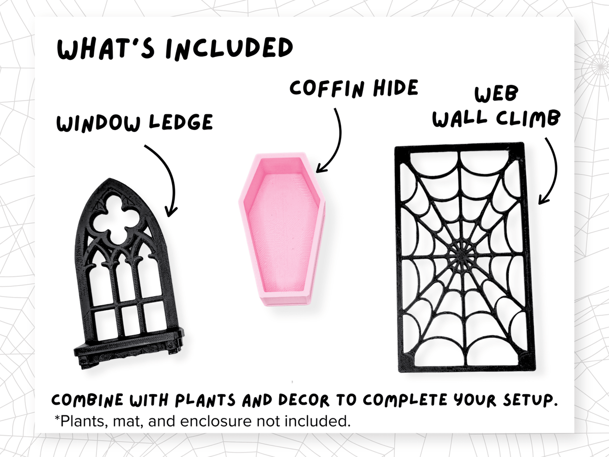Pretty Little Crypt Jumping Spider Enclosure Set - Spood Society