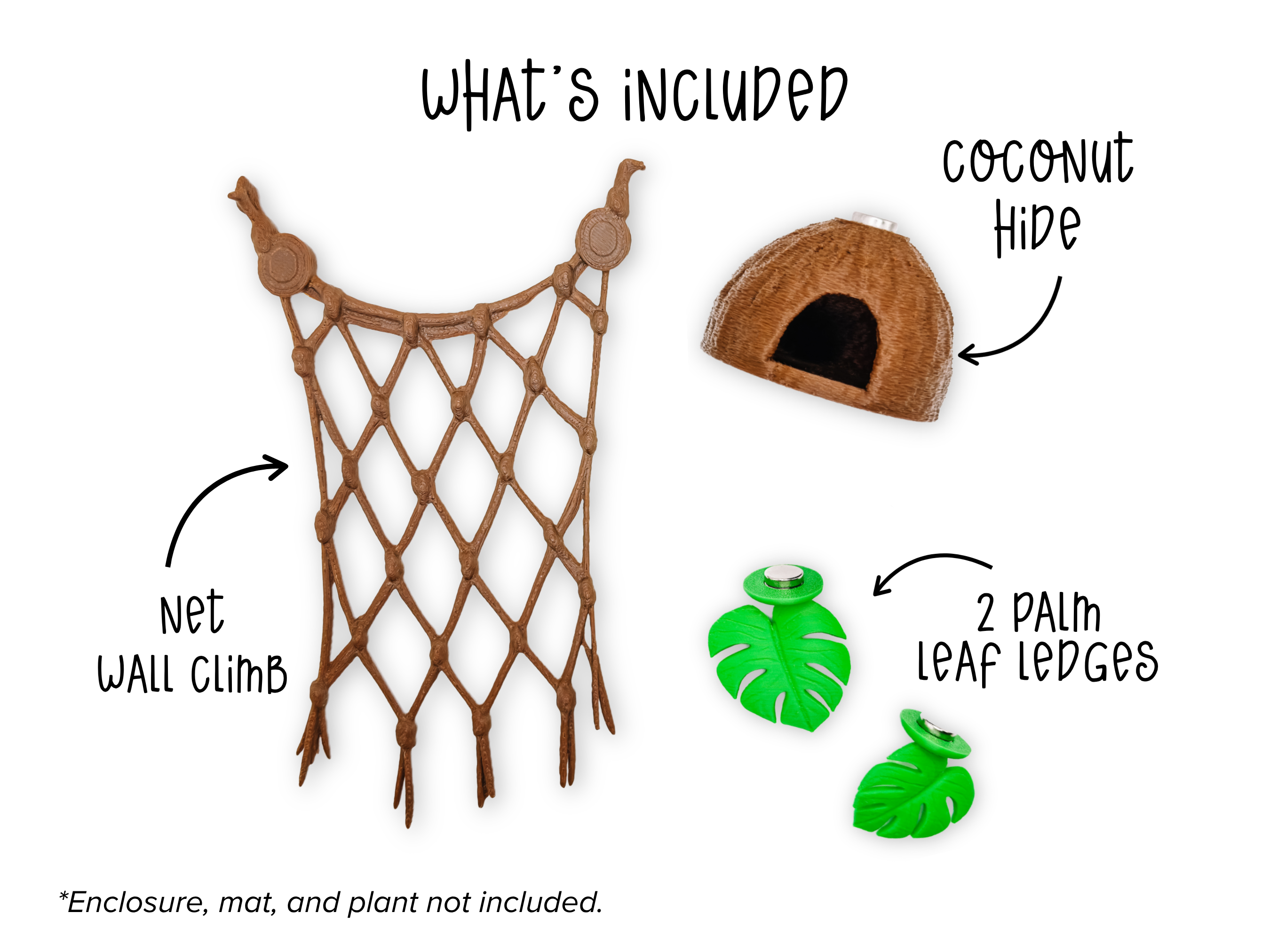 Tropical Coconut Jumping Spider Enclosure Set