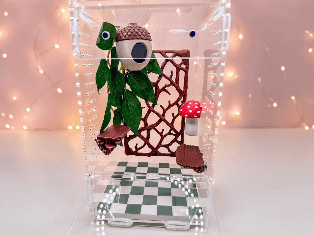 Woodland Whimsy • Complete Jumping Spider Enclosure - Spood Society